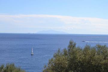 Location de vacances pour 8 personnes, avec jardin à Ville-di-Pietrabugno