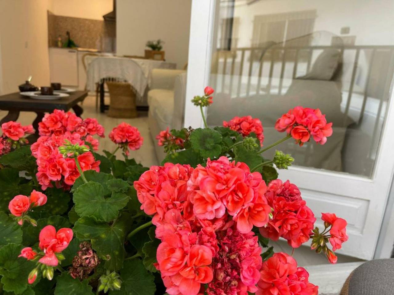 Geheel appartement, Vakantieappartement voor 5 personen met balkon in Llafranc, Palafrugell