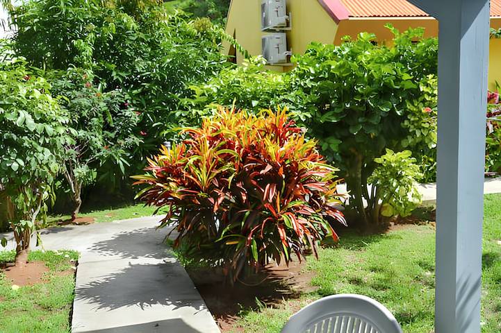 Location de vacances pour 2 personnes, avec terrasse à Les Anses-d'Arlet - 3