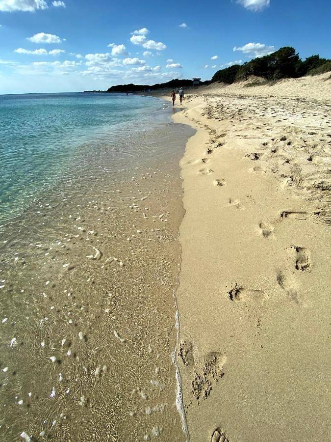 Ganze Wohnung, A Casa di Teresa in Porto Cesareo, Golf von Tarent