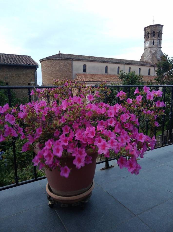 Chambre d’hôte pour 4 personnes, avec jardin dans Saône-et-Loire - 3
