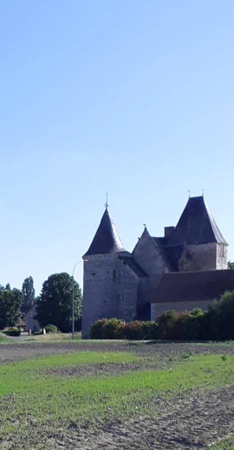 Chambre d’hôte pour 4 personnes, avec Terrasse ainsi que Jardin et Vue à Selles-sur-Cher