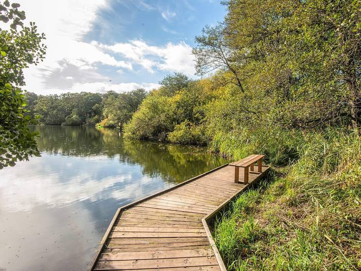 Ferienhaus für 4 Personen, mit Terrasse und Garten, mit Haustier in Skanderborg - 4