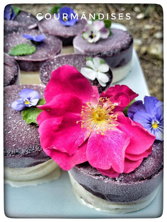 Location de vacances pour 11 personnes, avec jardin ainsi que piscine et vue, animaux acceptés à Sanilhac - 2