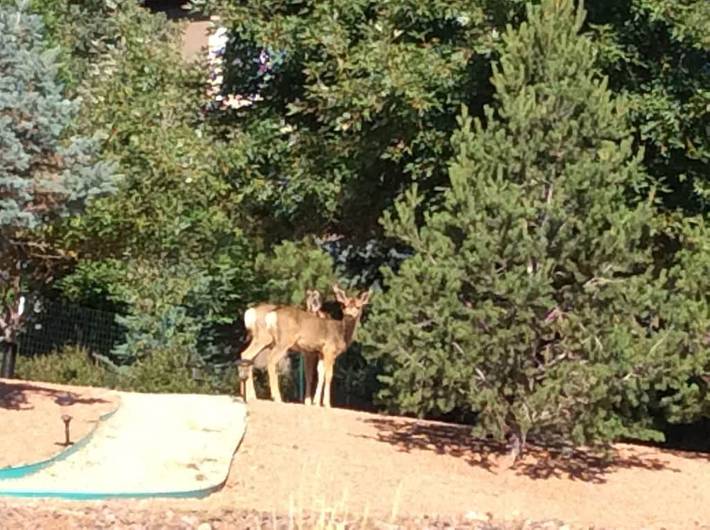 Vacation home for 14 people, with terrace and yard in Colorado Springs