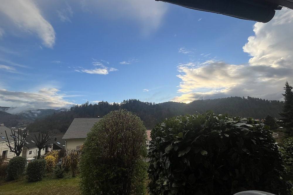 Ganze Wohnung, Ferienwohnung  mit überdachter Terrasse und schönem Ausblick! in Gernsbach, Nordschwarzwald