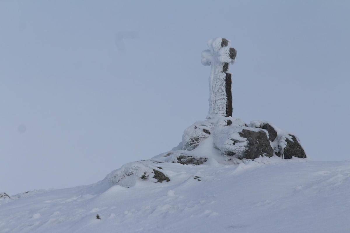Aubrac de Lozère in Prinsuéjols, Prinsuéjols-Malbouzon