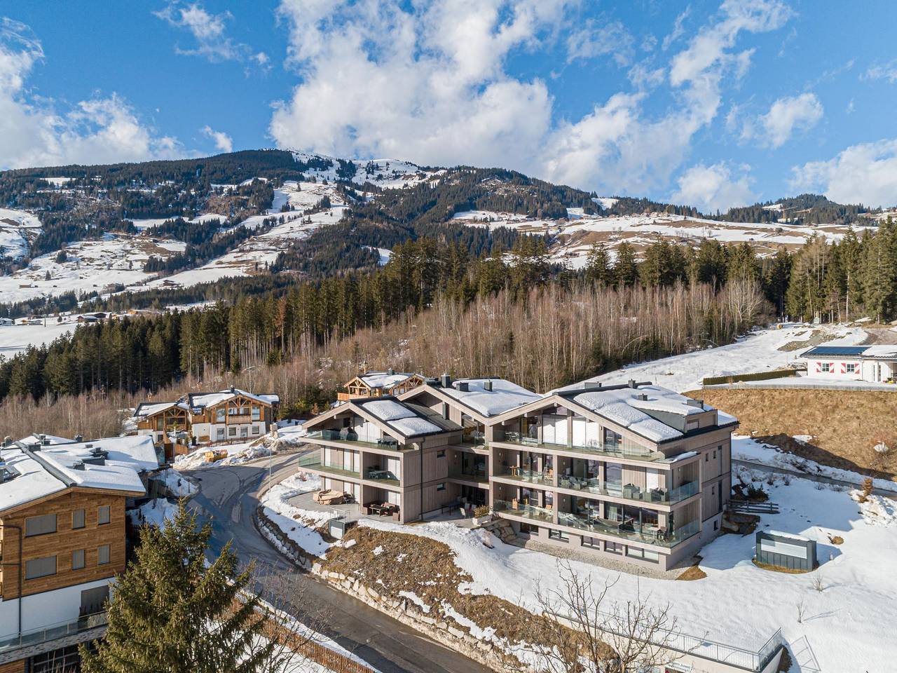 Ganze Wohnung, Luxuriöse Wohnung mit Sauna und Panoramablick
 in Hollersbach im Pinzgau, Pinzgau