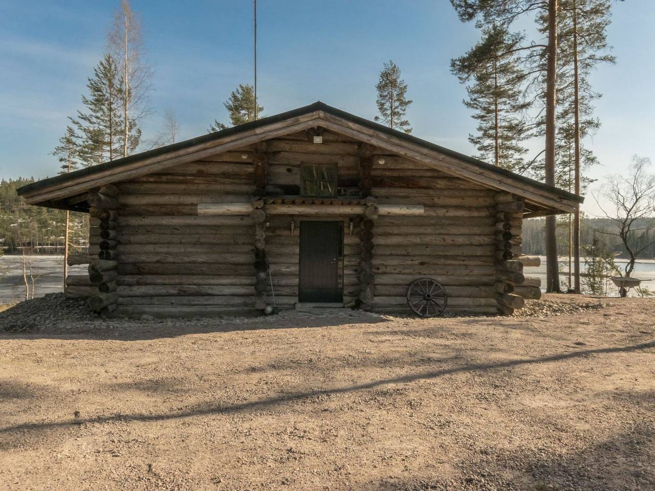 Villa moose in Ristiina, Mikkeli