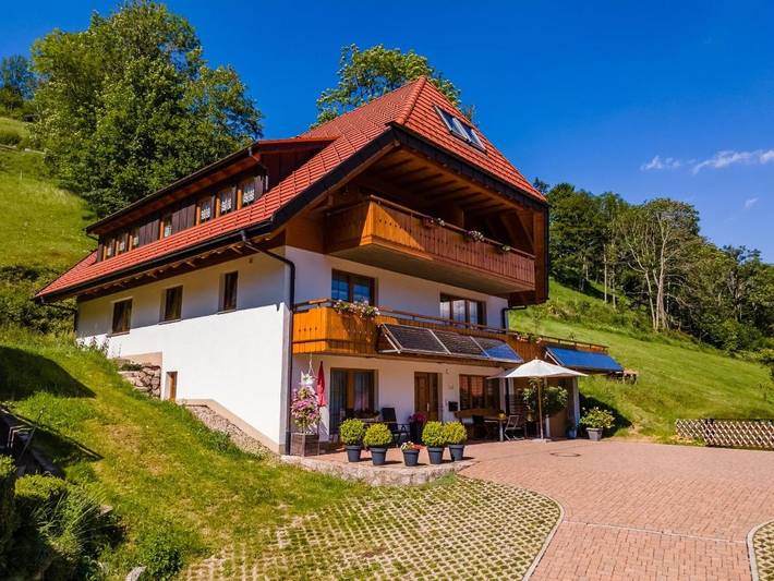 Dom gościnny dla 2 osób, z Balkon i Taras oraz Widok w Wieden