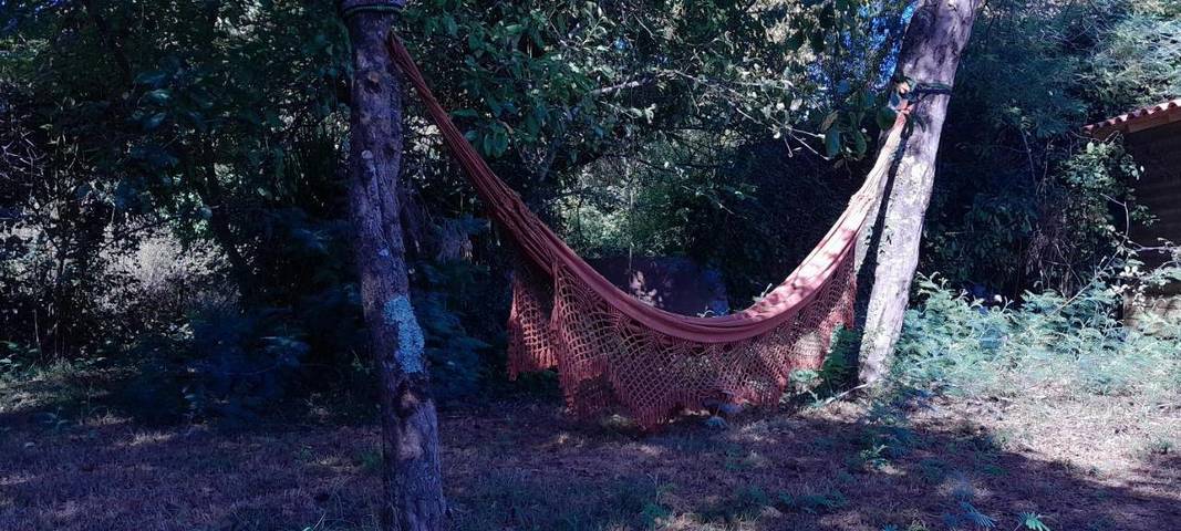 Location de vacances pour 6 personnes, avec piscine et terrasse à Vertheuil - 4