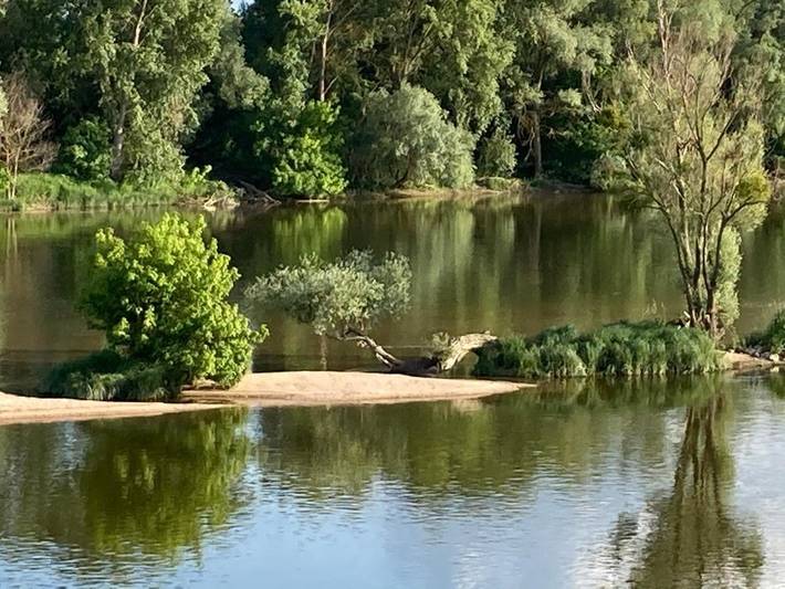Location de vacances pour 5 personnes, avec vue et balcon à Meung-sur-Loire - 2
