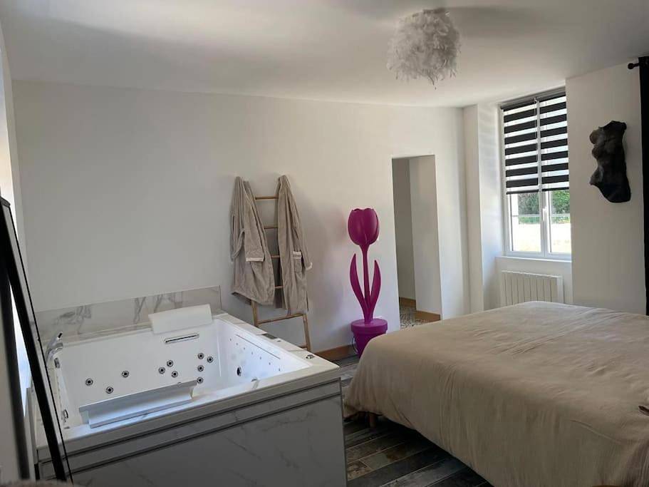 Appartement entier, Gite balnéo in Lailly-en-Val, Sologne