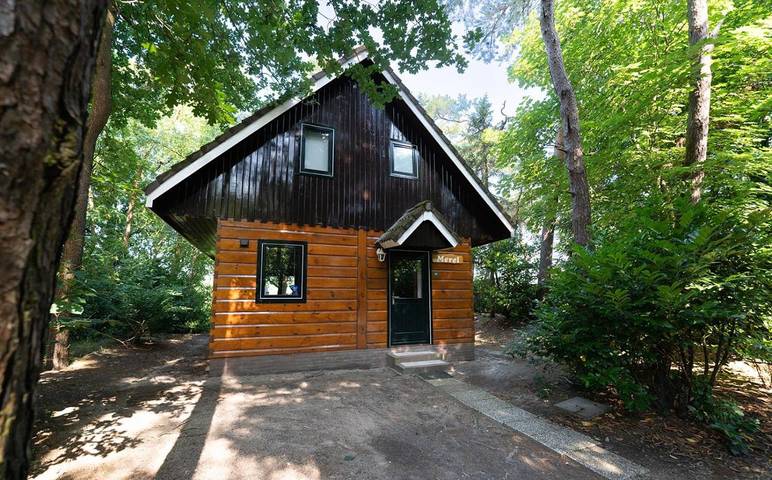 Ferienhaus für 8 Personen, mit Sauna und Garten, kinderfreundlich in Soest (Niederlande) - 2