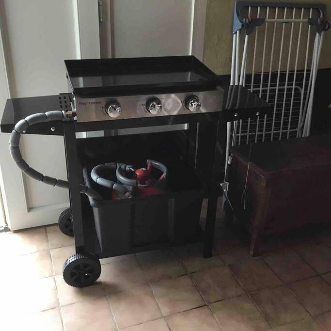 Gîte pour 7 personnes, avec terrasse et jardin à Eauze - 3