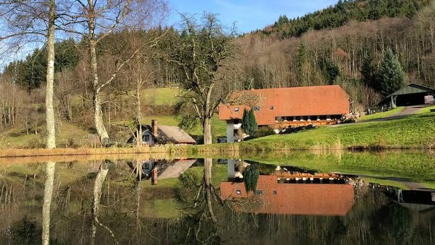 Ferienwohnung für 3 Personen, mit Balkon und Garten in Suedlicher Schwarzwald - 2
