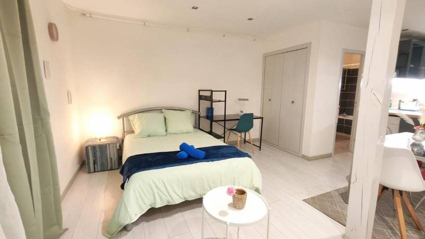 Gîte pour 4 personnes, avec terrasse, animaux acceptés dans Cinema Le Melies Pau - 2