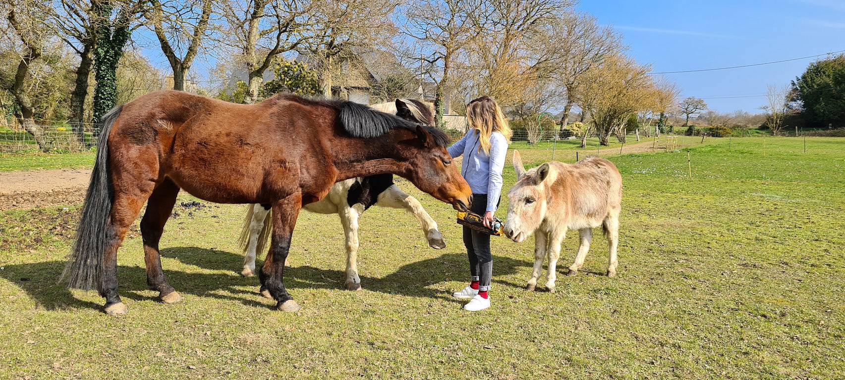 Gîte régate - gîtes du goëlo in Plouha, Côte de Goëlo