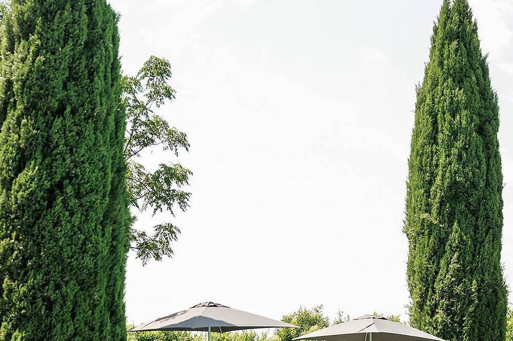 Mas Provençal 10 Chambres 20 Personnes à Maillane, Jardin de 4000 m², Piscine in Maillane, Arles region