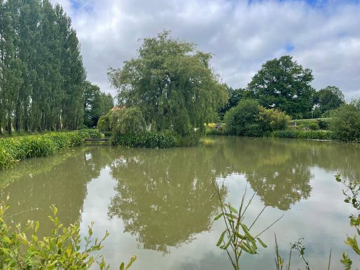 Chambre d’hôte pour 3 personnes, avec vue et jardin ainsi que vue sur le lac et piscine dans Sèvremont - 4