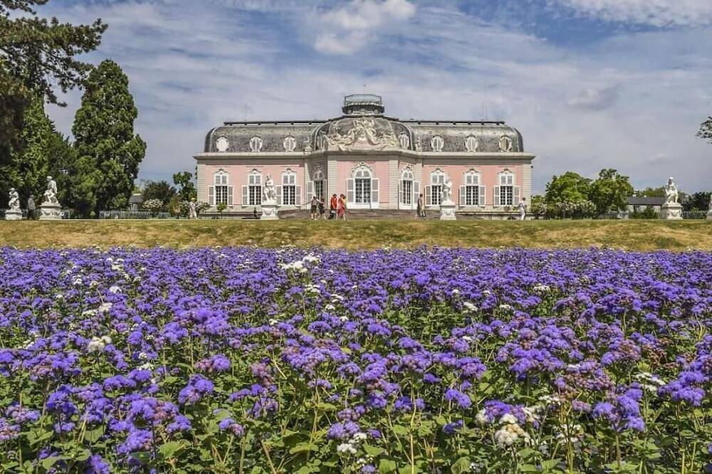 Entire apartment, Cozy vacation apartment close to Benrath Castle Düsseldorf with terrace and kitchen in Düsseldorf, Düsseldorf region