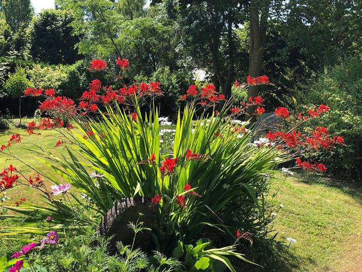 Gîte pour 5 personnes, avec jardin et terrasse à La Fresnais - 4