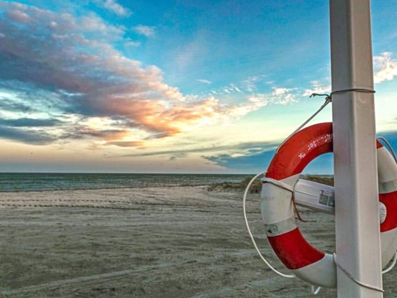 Natur Ruckzug in albaek in Napstjert, Jerup