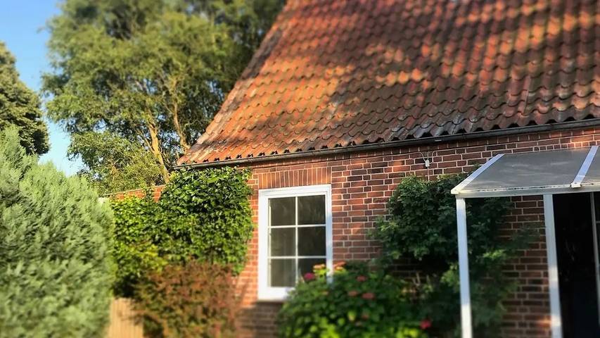 Ferienhaus für 5 Personen, mit Garten in Avendorf - 3