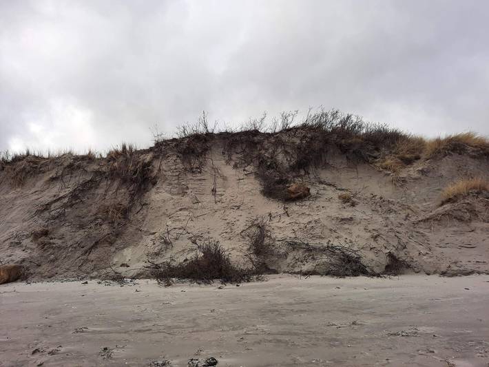 Ferienhaus für 5 Personen, mit Terrasse, mit Haustier in Nordostjütland - 4