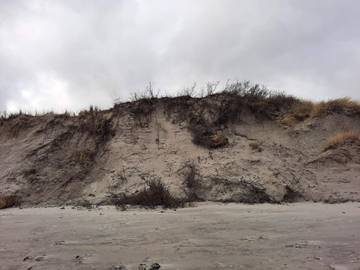 Feriehus til 5 Personer i Lyngså, Nordøst-Jylland, Bilde 4