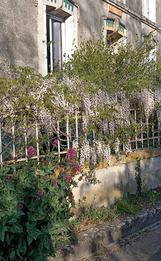 Maison d’hôte pour 6 personnes, avec jardin au Parc Naturel Régional du Marais poitevin - 2