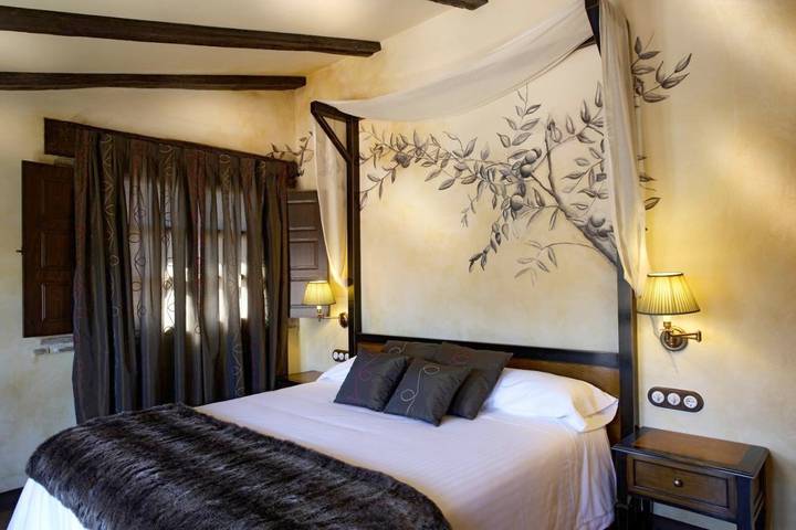 Hotel para 2 personas, con jardín y jacuzzi en Provincia de Guadalajara - 4