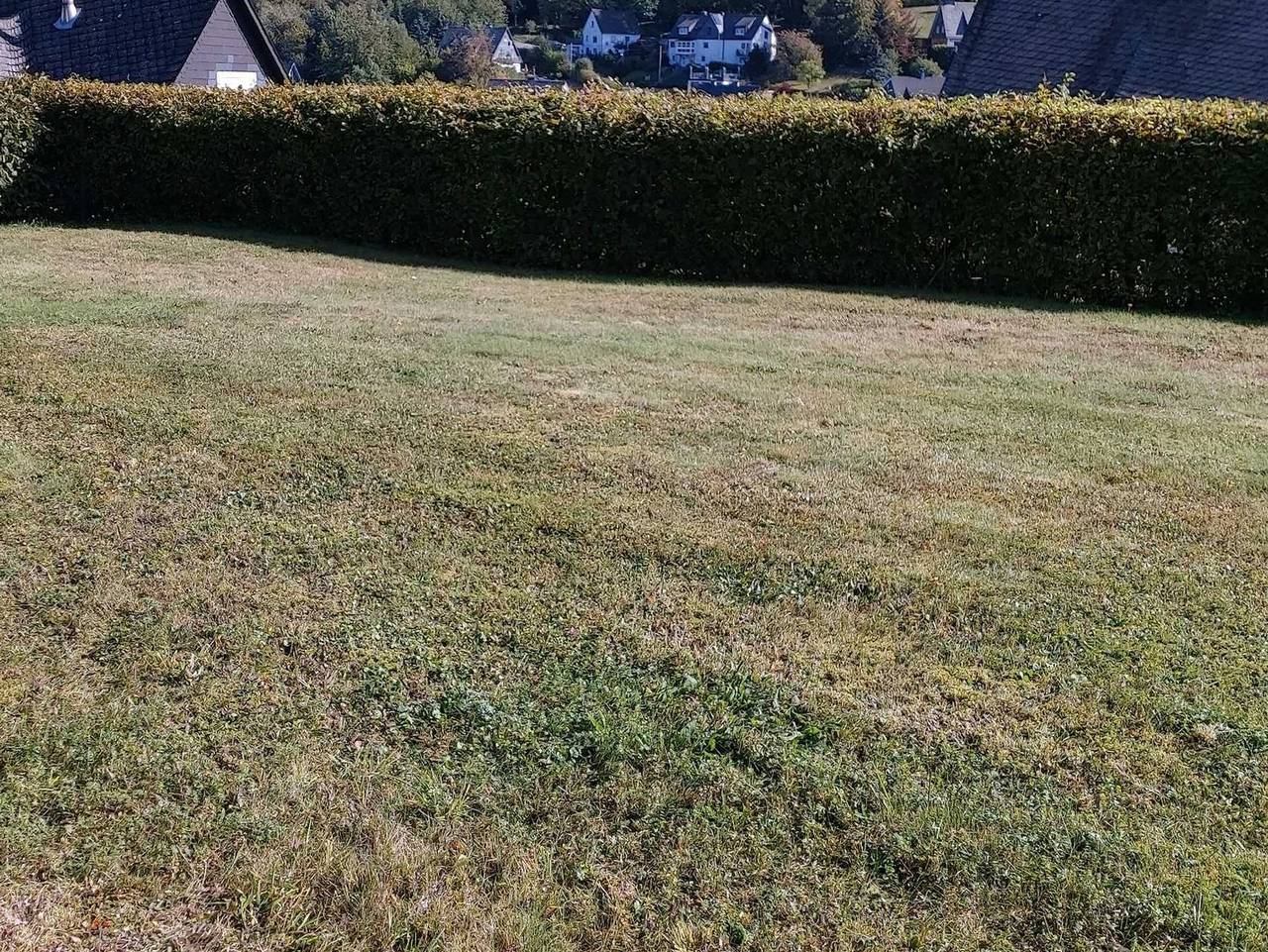 Ganze Ferienwohnung, Ferienwohnung-Wilmes - Burgstr.15 Nr.2 in Silbach, Winterberg