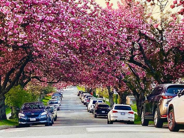 Maison d’hôte pour 3 personnes à Vancouver - 3