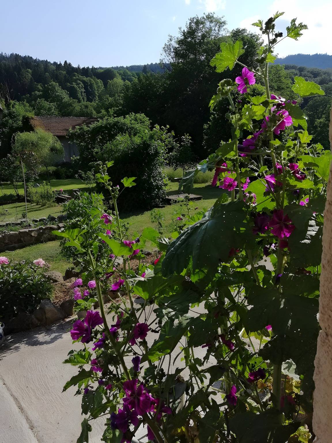 La Sapinière Guest Room with Shared Terrace and Wi-Fi in Rehaupal, Saint-Dié-des-Vosges