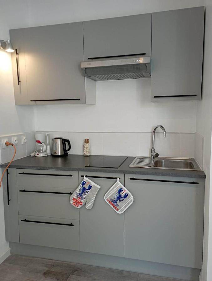Appartement entier, Le Krogen in Locmiquélic, Côte des Mégalithes