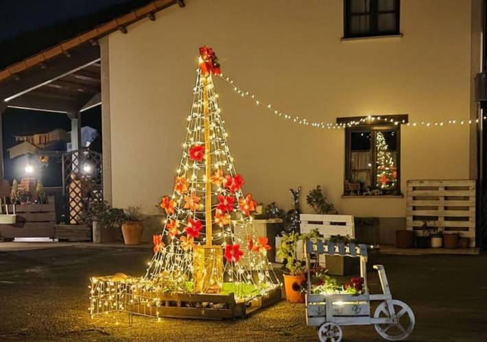 Casa rural para 6 personas, con vistas además de vistas al lago y jardín, Familias con niños en Nalón - 2