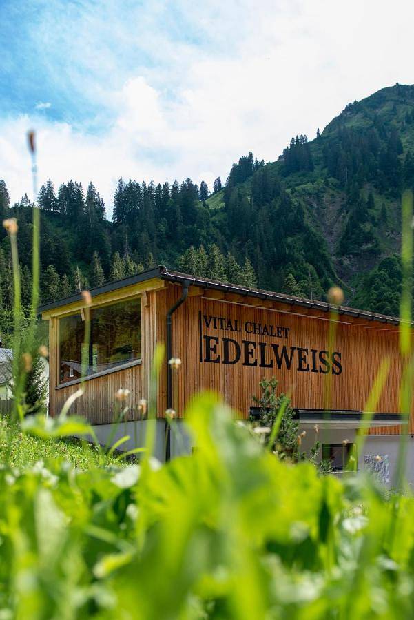 Chalet für 11 Personen, mit Ausblick und Pool sowie Garten und Sauna im Bregenzerwald