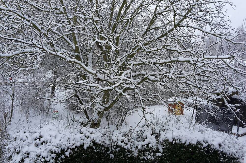 Ganze Wohnung, Ruheoase am Kulkwitzer See_tauchen, spazieren gehen, entspannen im großen Garten in Leipzig, Kulkwitzer See