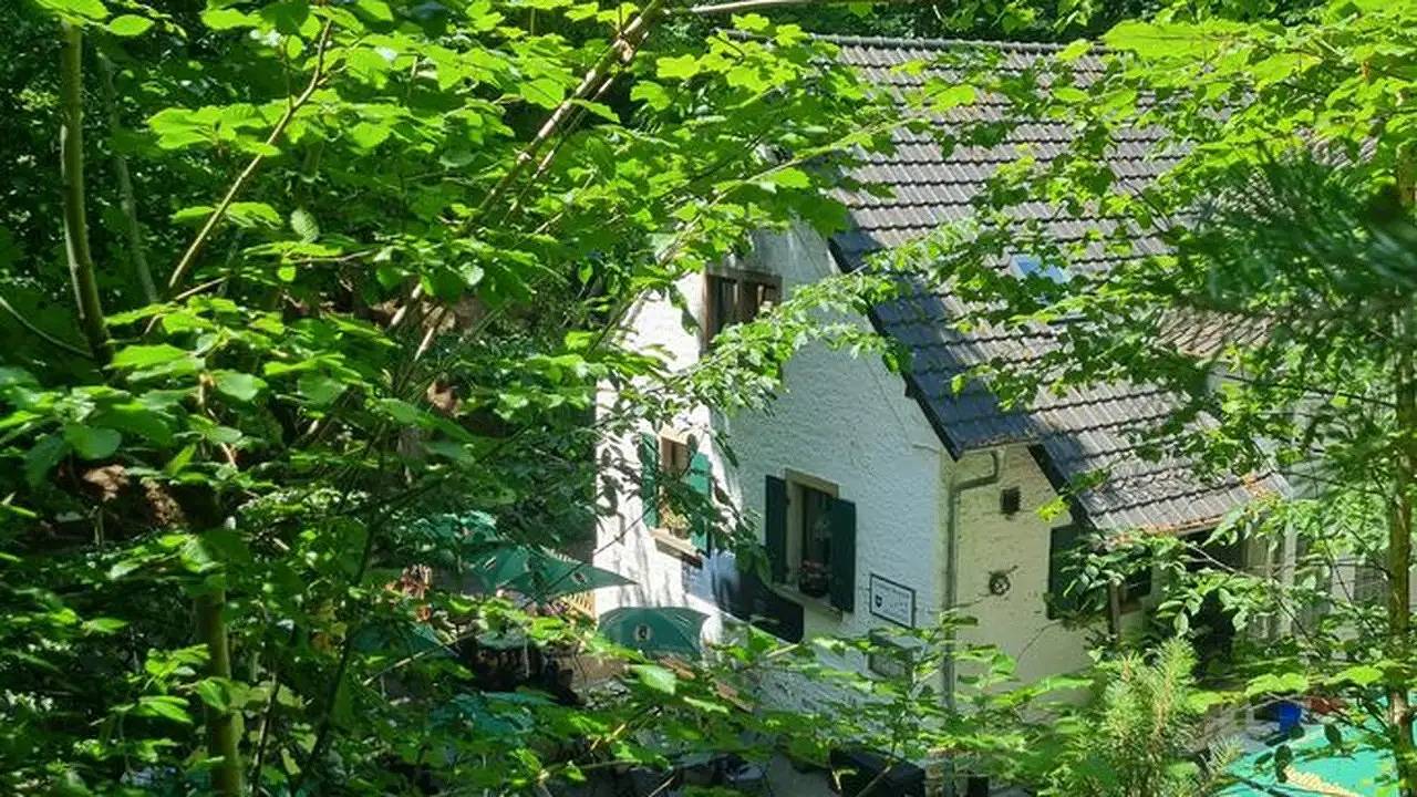 Ganze Ferienwohnung, Ferienwohnung für 4 Personen (70 m²) in Neustadt in Deidesheim, Deutsche Weinstraße