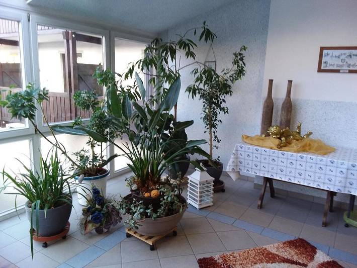 BnB für 2 Personen, mit Sauna und Terrasse im Bayerischer Wald - 2