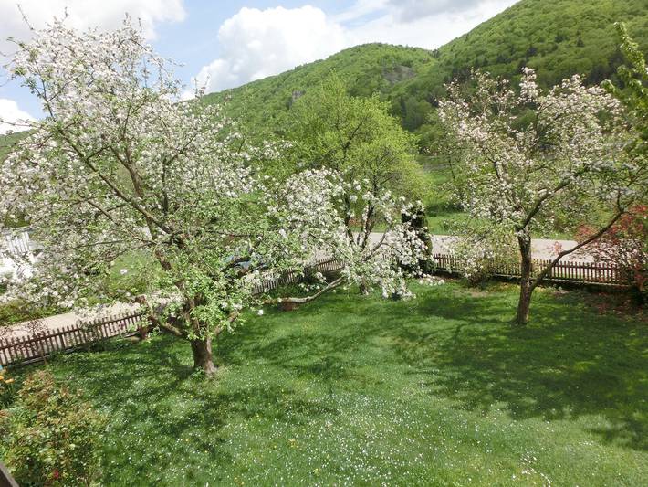 Ferienhaus für 4 Personen, mit Garten, mit Haustier in Niederbayern - 4