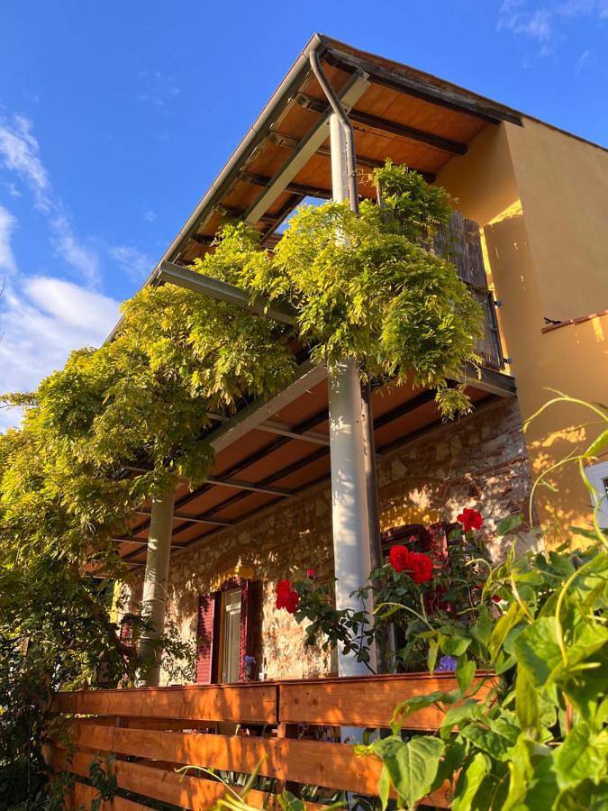 Chambre d’hôte pour 2 personnes, avec jardin et vue, animaux acceptés à Campiglia Marittima - 4