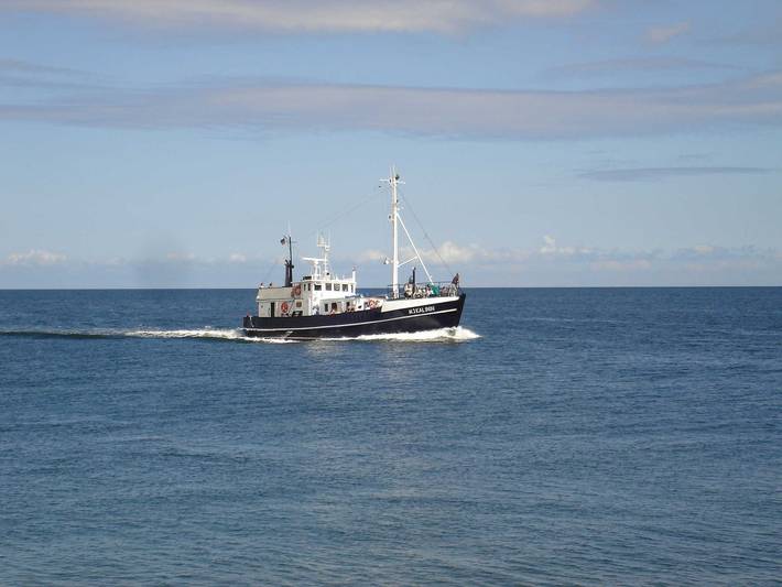 Hotel für 2 Personen, mit Garten und Balkon, kinderfreundlich in Karlshagen - 4