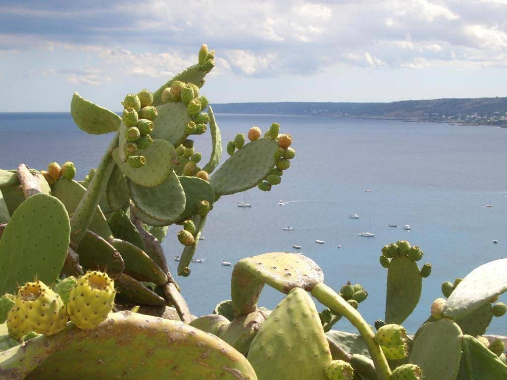 Pizzicati Bed and Breakfast in Uggiano la Chiesa, Provincia di Lecce