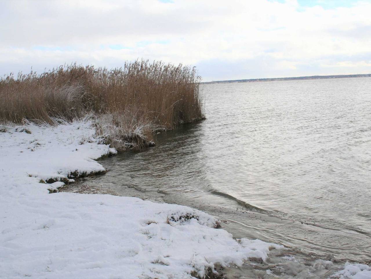Ganze Ferienwohnung, Haus 1795 Storchennest - Haus 1795 Storchennest in Wustrow, Fischland