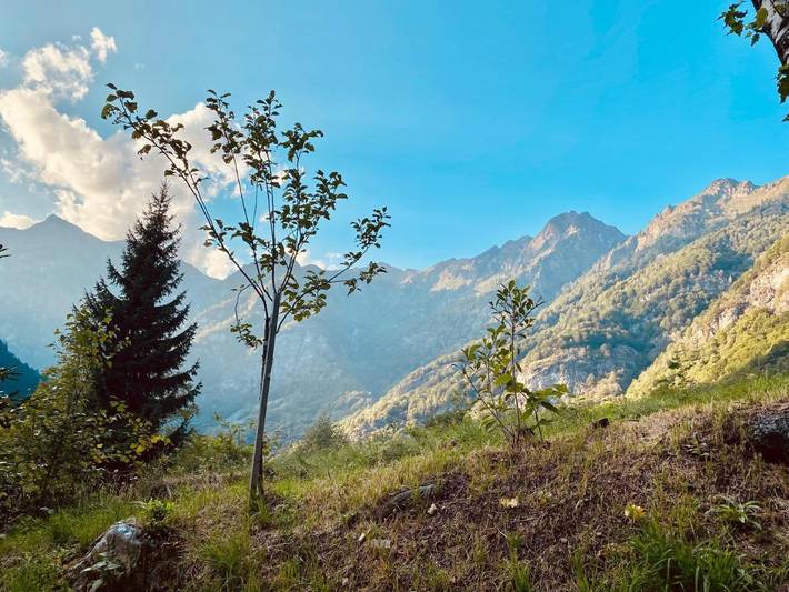 Gîte pour 4 personnes, avec vue ainsi que sauna et jardin dans Mollia