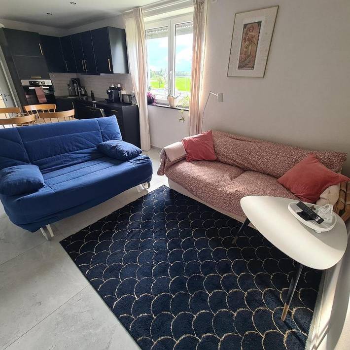 Gîte pour 6 personnes, avec vue, animaux acceptés à Neudorf - 4