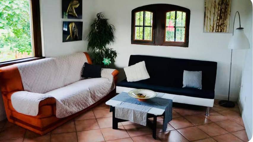 Location de vacances pour 6 personnes, avec jardin dans Réserve naturelle du Marais d'Orx - 4