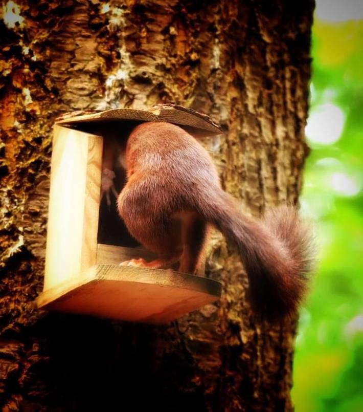 Location de vacances pour 6 personnes, avec vue et jardin dans Wibrin - 4